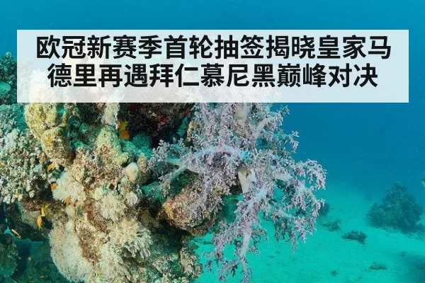 欧冠新赛季首轮抽签揭晓皇家马德里再遇拜仁慕尼黑巅峰对决